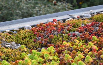 the cost of Down St Mary green roof installation