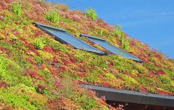Down St Mary living roof systems